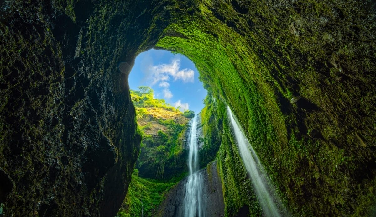 Navigating biodiversity and nature risk in modern portfolios