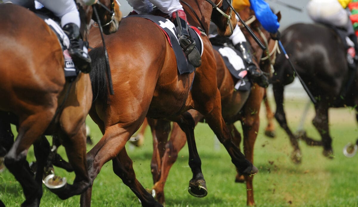 Baker Bookmakers’ guide to the hydrogen races