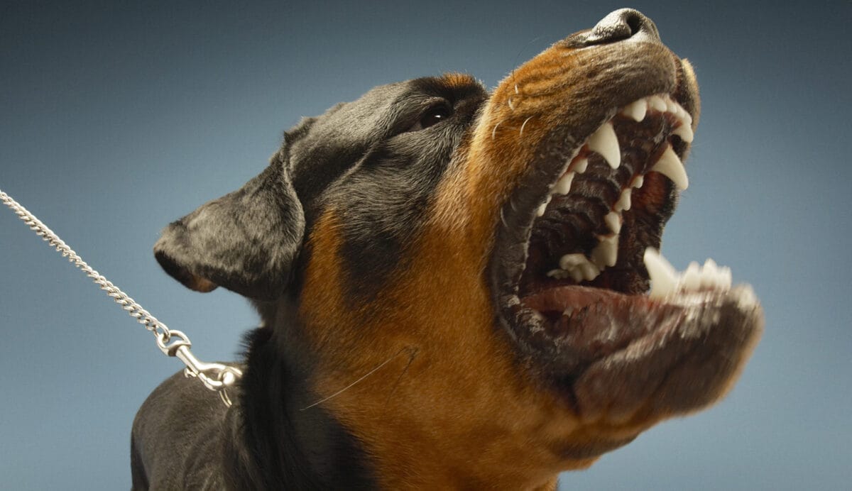 APRA savages Cbus in court-enforceable undertaking, investigates possible SIS breaches