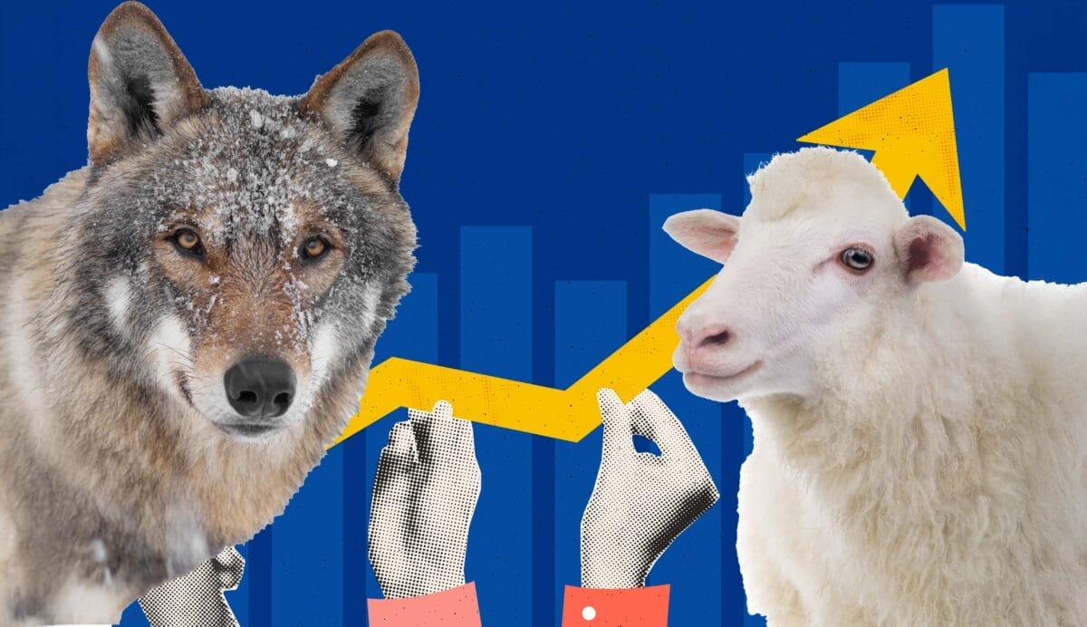 On fees, beware sheep dressed in wolves’ clothing